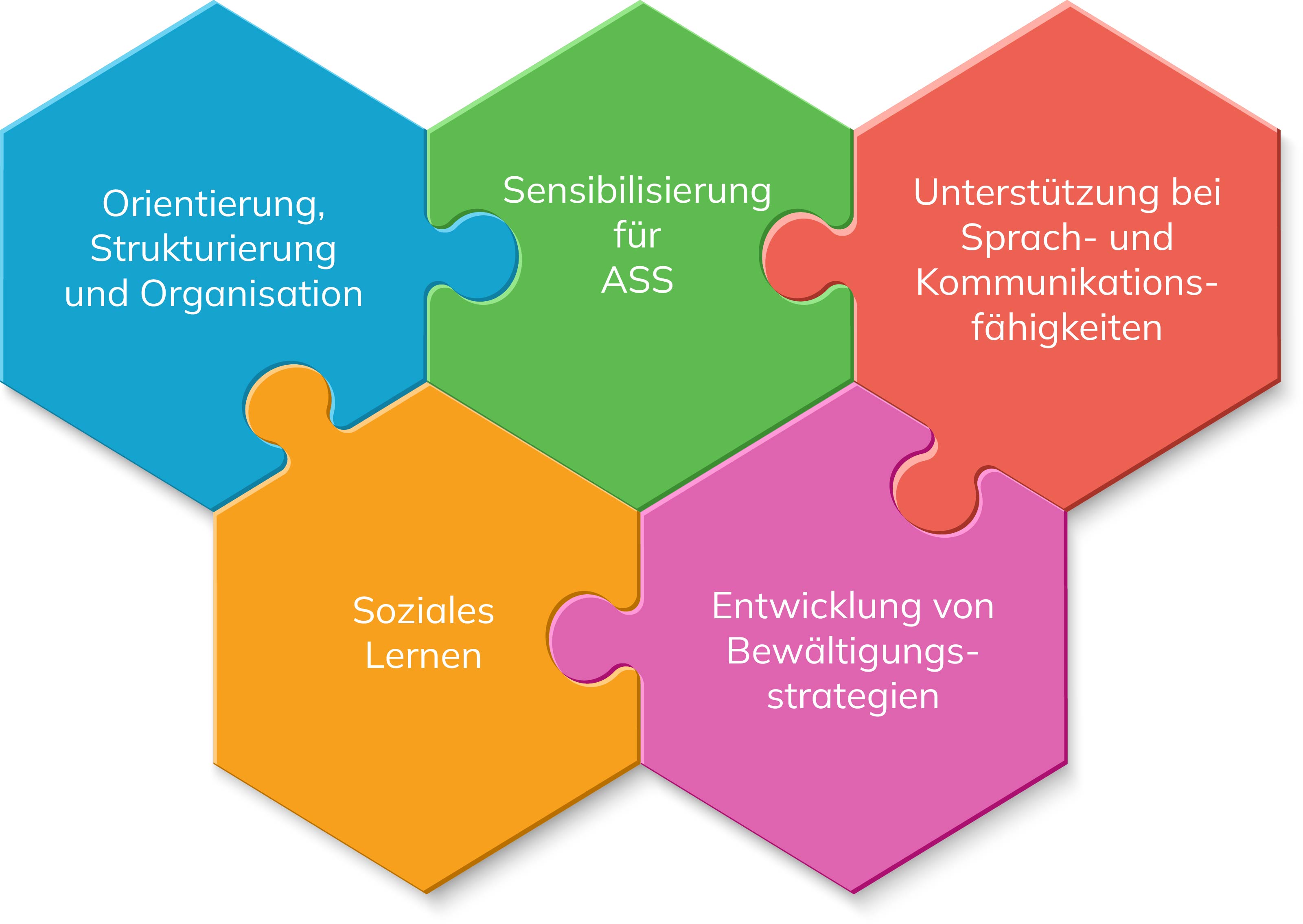 Grafik zeigt Bereiche der Kindergarten Assistenz